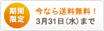 3月31日まで送料無料!