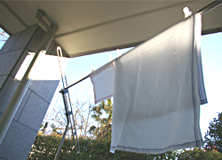 imabari towelをお洗濯