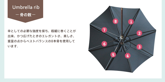 [骨の数]傘としての必要な強度を保ち、極細に巻くことが出来、かつ広げたときのエレガントさ、美しさ、重量の点からベストバランスの8本骨を使用しています。
