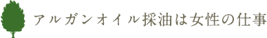 アルガンオイル採油は女性の仕事