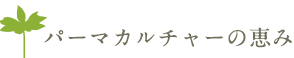 パーマカルチャーの恵み