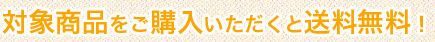 対象商品をご購入いただくと送料無料！