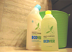 住まい用洗剤とトイレ用洗剤でお掃除
