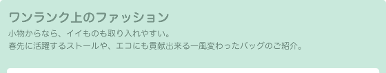 ワンランク上のファッション