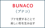 BUNACO（ブナコ） ブナを愛することで美しい形を生み出す